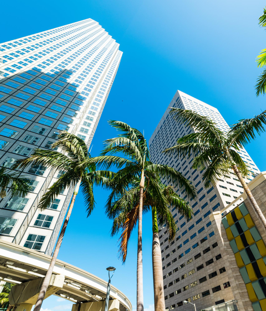 Gestión-de-Alquileres-en-Florida